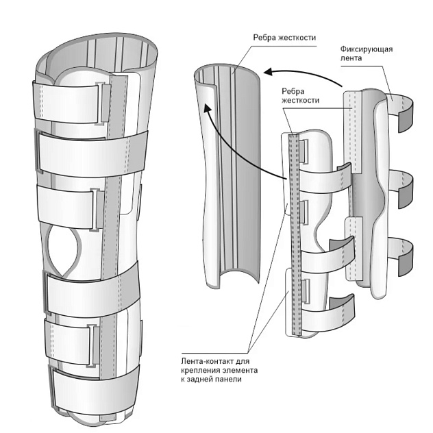 Тутор SKN 401 (детский)