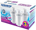 Модуль сменный АКВАФОР В15 (комплект 3 шт)